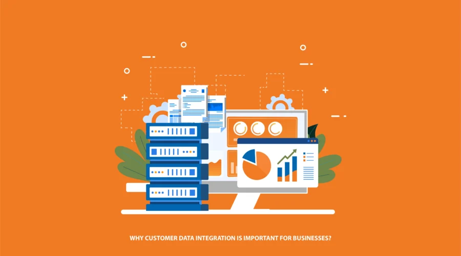 Customer Data Integration - Streamline Your Business Insight